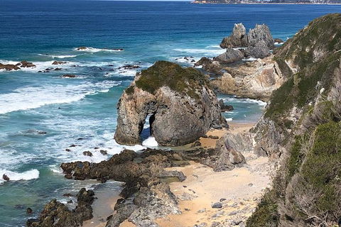 Narooma And Tilba Valley Private Tour - Accommodation Main Beach 8