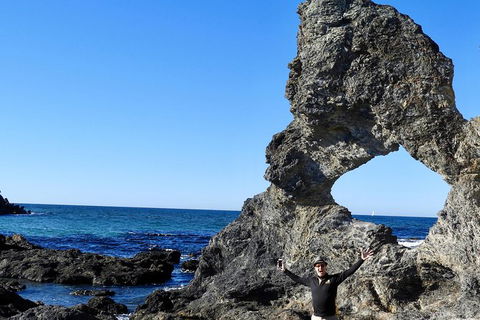Narooma And Tilba Valley Private Tour - Accommodation Main Beach 4