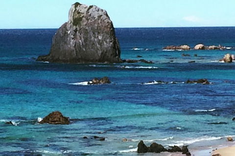 Narooma And Tilba Valley Private Tour - Accommodation Main Beach 9
