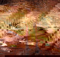 Jenolan Caves Ribbon Cave Tour - Accommodation Main Beach