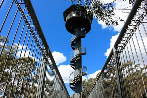 Illawarra Fly Treetop Adventures Admission Including Zipline Tour - Accommodation Main Beach 3