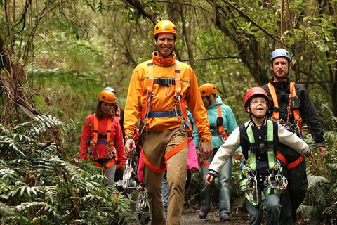 Illawarra Fly Treetop Adventures Admission Including Zipline Tour - Accommodation Main Beach 1