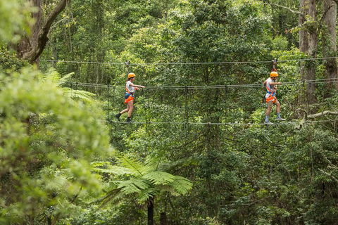 Illawarra Fly Treetop Adventures Admission Including Zipline Tour - Accommodation Main Beach 0