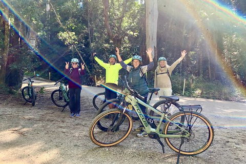 Guided E Bike Tour - Unicorn Falls & National Park - Accommodation Main Beach 3