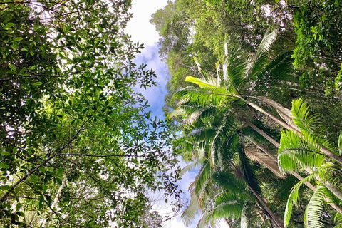 Guided E Bike Tour - Unicorn Falls & National Park - Accommodation Main Beach 5