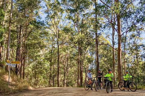 Guided E Bike Tour - Unicorn Falls & National Park - Accommodation Main Beach 10