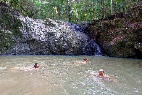 Guided E Bike Tour - Unicorn Falls & National Park - Accommodation Main Beach 12