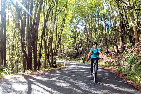 Guided E Bike Tour - Unicorn Falls & National Park - Accommodation Main Beach 16