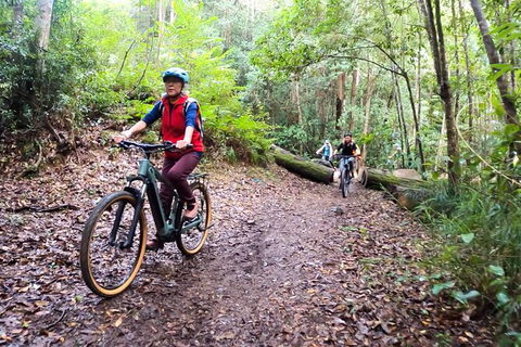 Guided E Bike Tour - Unicorn Falls & National Park - Accommodation Main Beach 9