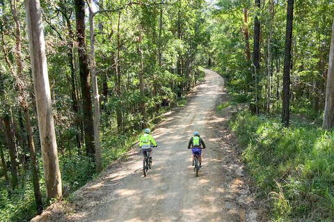 Guided E Bike Tour - Unicorn Falls & National Park - Accommodation Main Beach 7