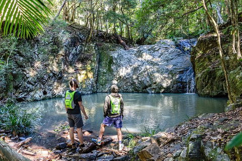 Guided E Bike Tour - Unicorn Falls & National Park - Accommodation Main Beach 2