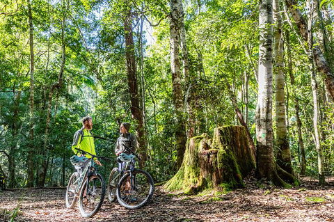 Guided E Bike Tour - Unicorn Falls & National Park - Accommodation Main Beach 14