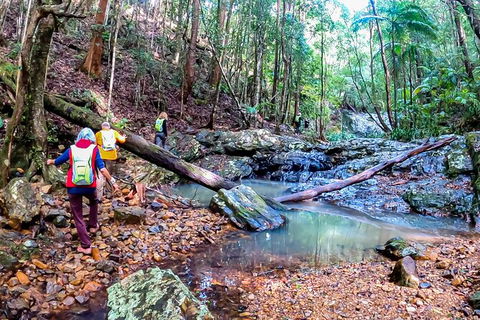 Guided E Bike Tour - Unicorn Falls & National Park - Accommodation Main Beach 17