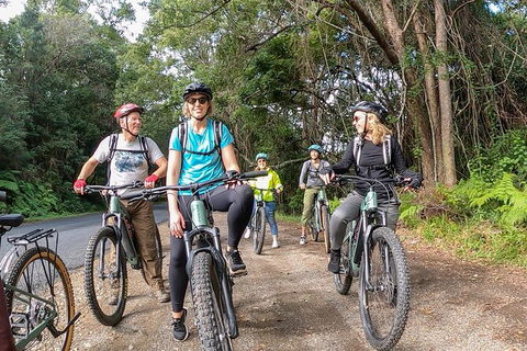 Guided E Bike Tour - Unicorn Falls & National Park - Accommodation Main Beach 11