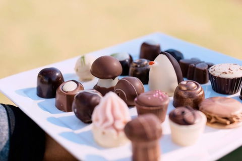 Hunter Valley Highlights Private Wine Tour From Sydney - Accommodation Main Beach 7