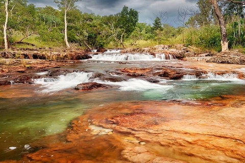 Full-Day Private Guided Tour To Litchfield National Park - Accommodation Main Beach 14