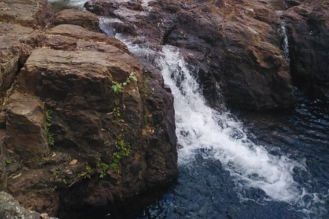 Full-Day Private Guided Tour To Litchfield National Park - Accommodation Main Beach 8