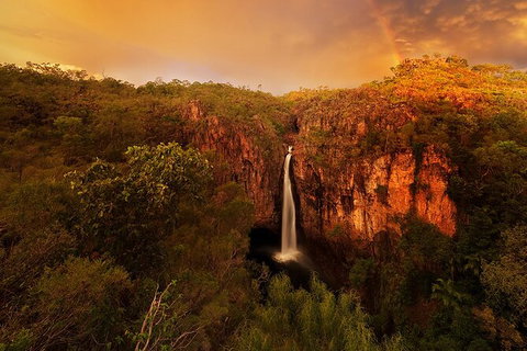 Full-Day Private Guided Tour To Litchfield National Park - Accommodation Main Beach 20