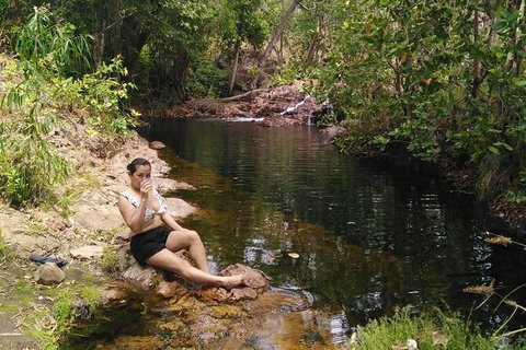 Full-Day Private Guided Tour To Litchfield National Park - Accommodation Main Beach 11