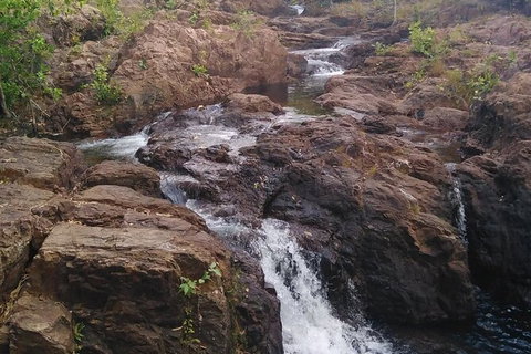 Full-Day Private Guided Tour To Litchfield National Park - Accommodation Main Beach 15