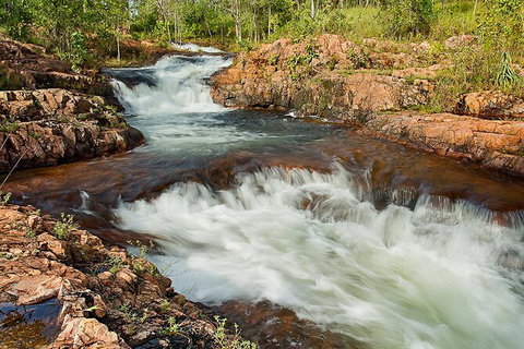 Full-Day Private Guided Tour To Litchfield National Park - Accommodation Main Beach 3