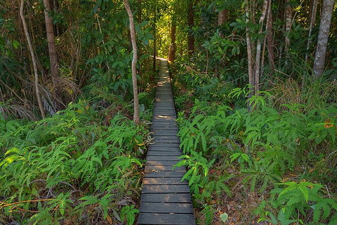 Full-Day Private Guided Tour To Litchfield National Park - Accommodation Main Beach 7