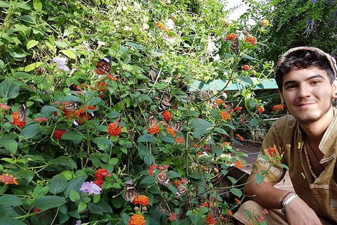 Full-Day Private Guided Tour To Litchfield National Park - Accommodation Main Beach 17