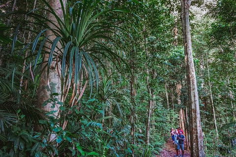 Atherton Tablelands Rain Forest By Night From Cairns - Accommodation Main Beach 0