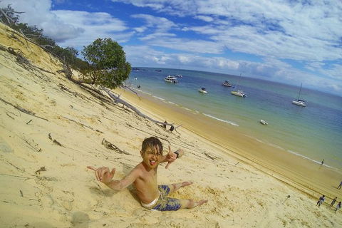 All Inclusive Dolphin And Tangalooma Wrecks Cruise - Accommodation Main Beach 1
