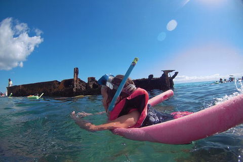 All Inclusive Dolphin And Tangalooma Wrecks Cruise - Accommodation Main Beach 8