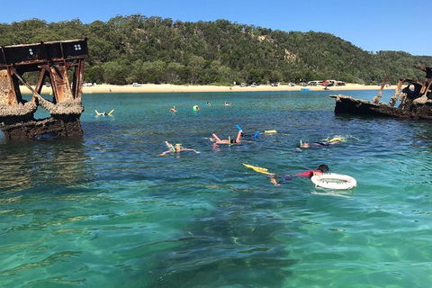 All Inclusive Dolphin And Tangalooma Wrecks Cruise - Accommodation Main Beach 9