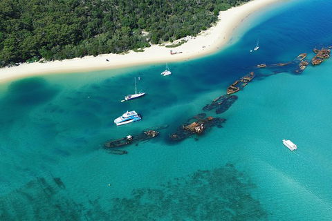 All Inclusive Dolphin And Tangalooma Wrecks Cruise - Accommodation Main Beach 3