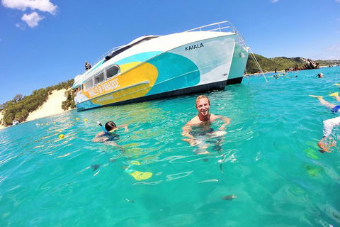 All Inclusive Dolphin And Tangalooma Wrecks Cruise - Accommodation Main Beach 0