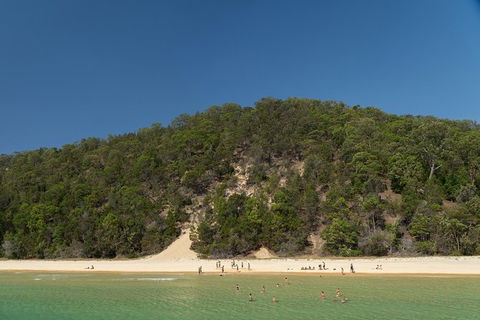 All Inclusive Dolphin And Tangalooma Wrecks Cruise - Accommodation Main Beach 4