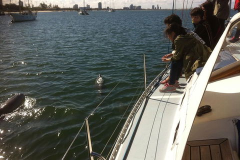 Gold Coast Sailing Cruise With Sparkling Wine & Nibbles Platter - Accommodation Main Beach 3