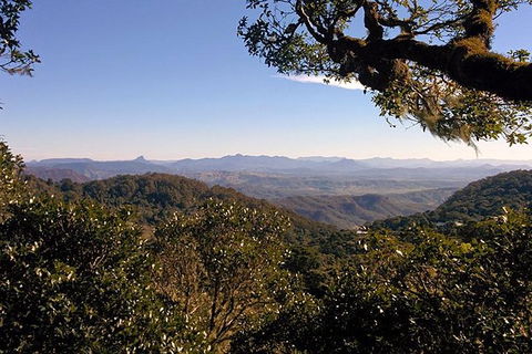 Gold Coast Lamington National Park And Tamborine Mountain 4WD Ecotour - Accommodation Main Beach 6
