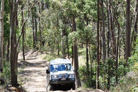 Gold Coast Lamington National Park And Tamborine Mountain 4WD Ecotour - Accommodation Main Beach 1