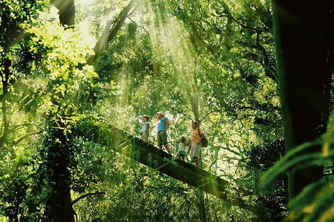 Gold Coast Lamington National Park And Tamborine Mountain 4WD Ecotour - Accommodation Main Beach 0