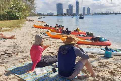 Half-Day Kayak, SUP And Snorkel Tour At Wave Break Island With Lunch - Accommodation Main Beach 6