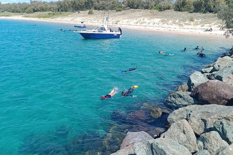 Half-Day Kayak, SUP And Snorkel Tour At Wave Break Island With Lunch - Accommodation Main Beach 3