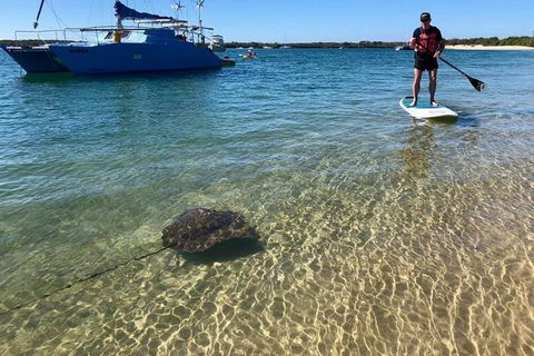 Half-Day Kayak, SUP And Snorkel Tour At Wave Break Island With Lunch - Accommodation Main Beach 2