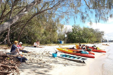 Half-Day Kayak, SUP And Snorkel Tour At Wave Break Island With Lunch - Accommodation Main Beach 8