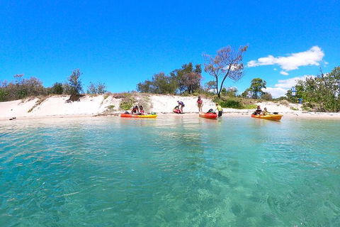 Half-Day Kayak, SUP And Snorkel Tour At Wave Break Island With Lunch - Accommodation Main Beach 4