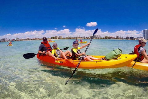 Half-Day Kayak, SUP And Snorkel Tour At Wave Break Island With Lunch - Accommodation Main Beach 5