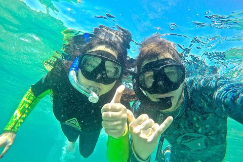 2.5hr Gold Coast Kayaking & Snorkelling Tour - Accommodation Main Beach 2