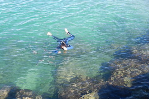 2.5hr Gold Coast Kayaking & Snorkelling Tour - Accommodation Main Beach 11