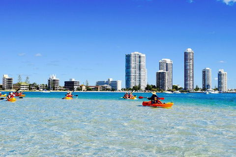 2.5hr Gold Coast Kayaking & Snorkelling Tour - Accommodation Main Beach 3