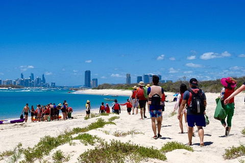 2.5hr Gold Coast Kayaking & Snorkelling Tour - Accommodation Main Beach 12
