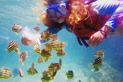 2.5hr Gold Coast Kayaking & Snorkelling Tour - Accommodation Main Beach 10