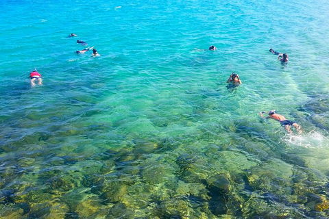 2.5hr Gold Coast Kayaking & Snorkelling Tour - Accommodation Main Beach 9